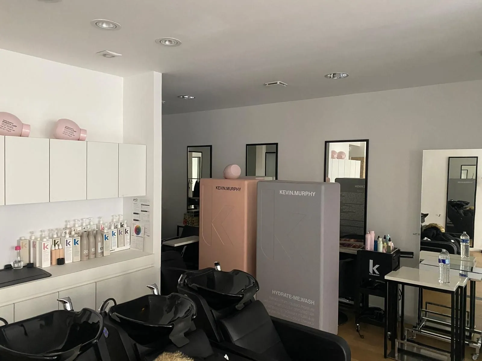 Bacs à shampoing et postes de coiffage devant des meubles blancs