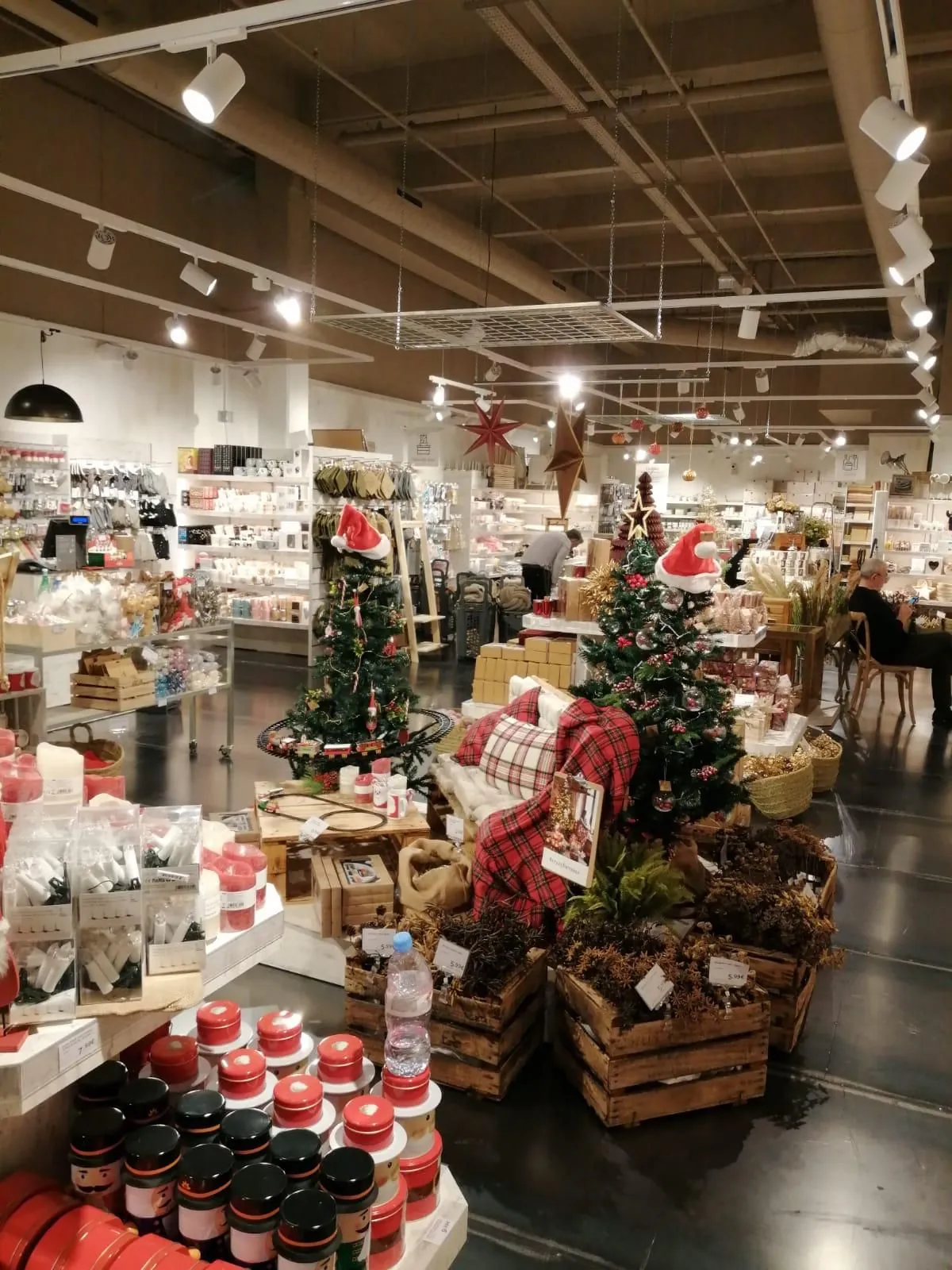 Rayons du magasin décorés pour Noël, avec sapins et produits en vitrine